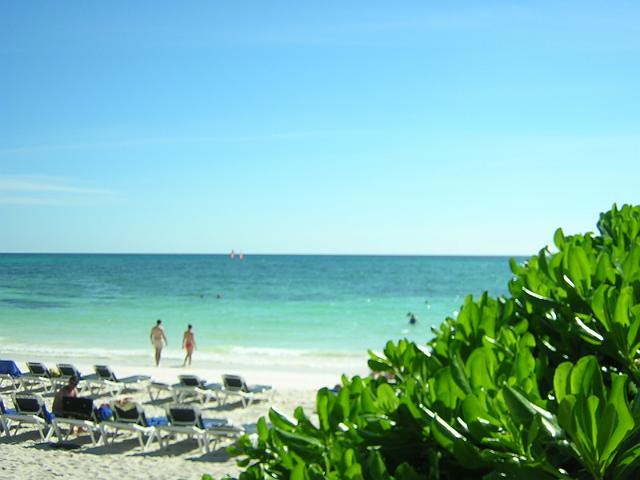 DSCN2972.JPG