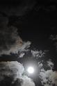 DJK_8472