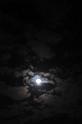 DJK_8479