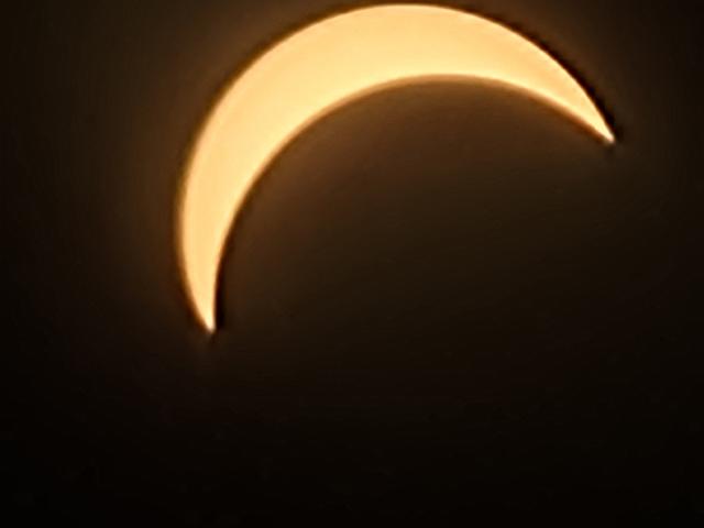 20240408_150312.jpg