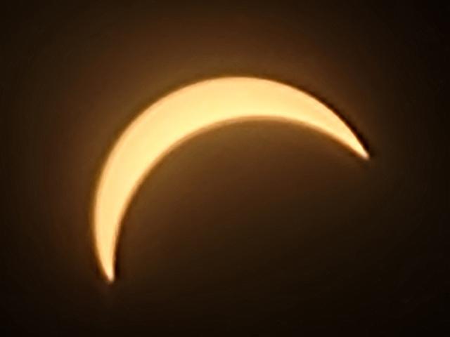 20240408_150522.jpg