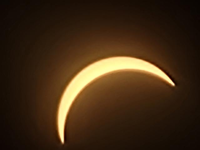 20240408_150818.jpg
