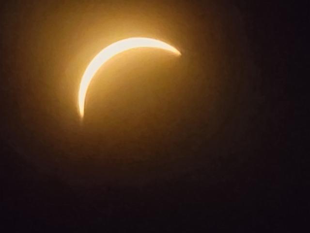 20240408_151207.jpg