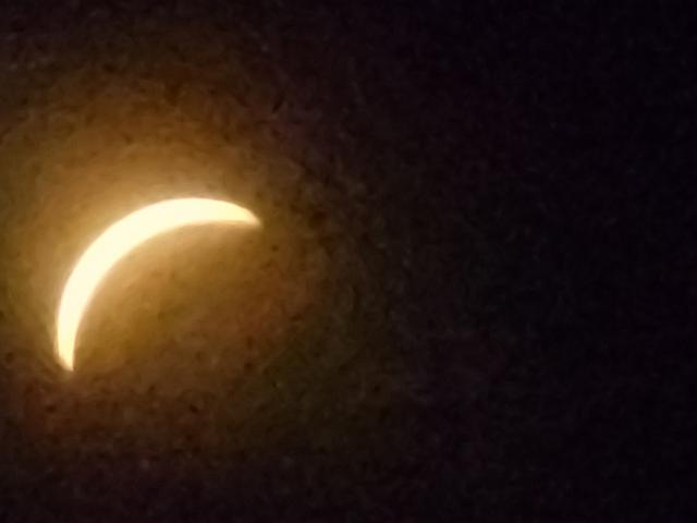 20240408_151353.jpg