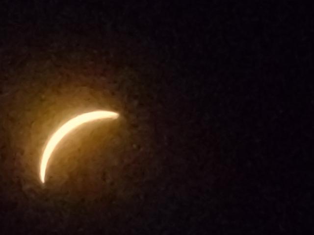 20240408_151429.jpg