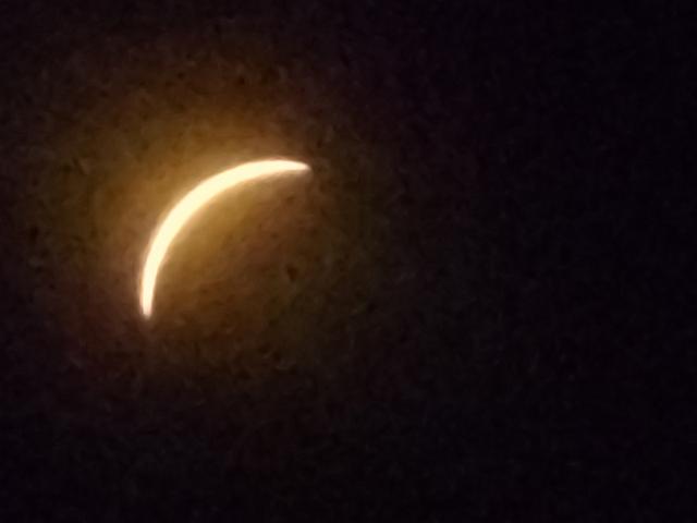 20240408_151441.jpg