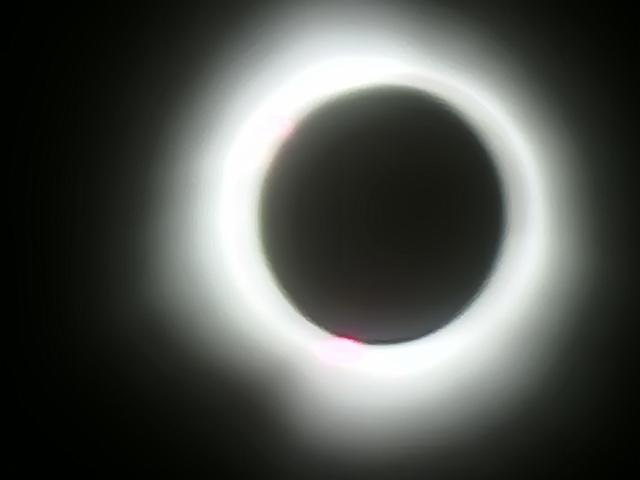 20240408_151652.jpg