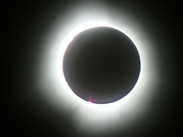20240408_151655.jpg