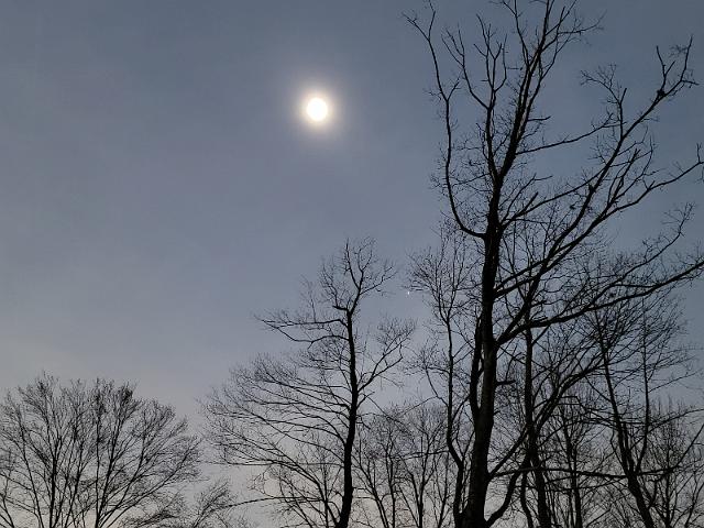 20240408_151715.jpg
