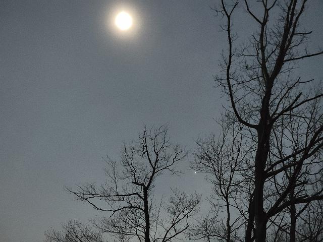 20240408_151721.jpg