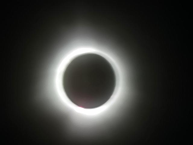 20240408_151741.jpg