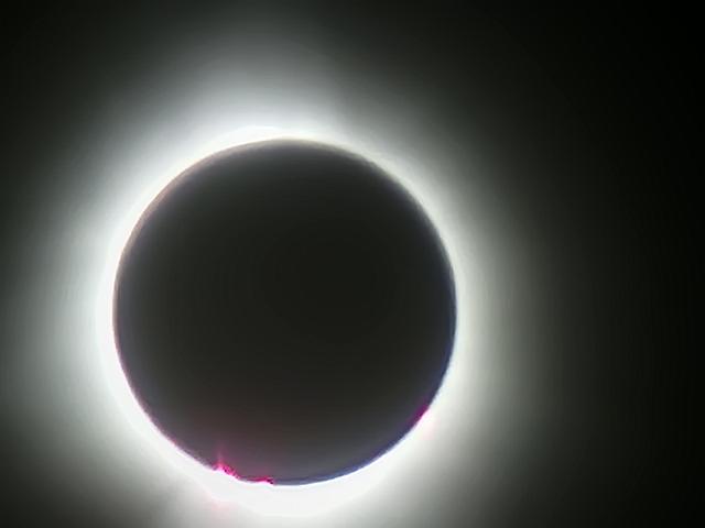 20240408_151827.jpg