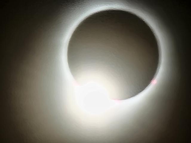20240408_151900.jpg