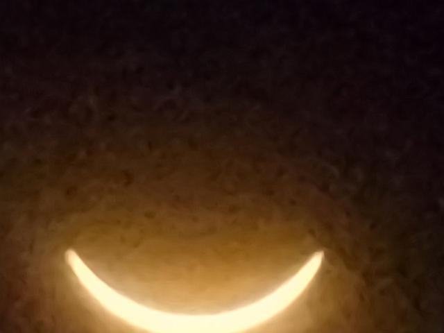 20240408_152123.jpg