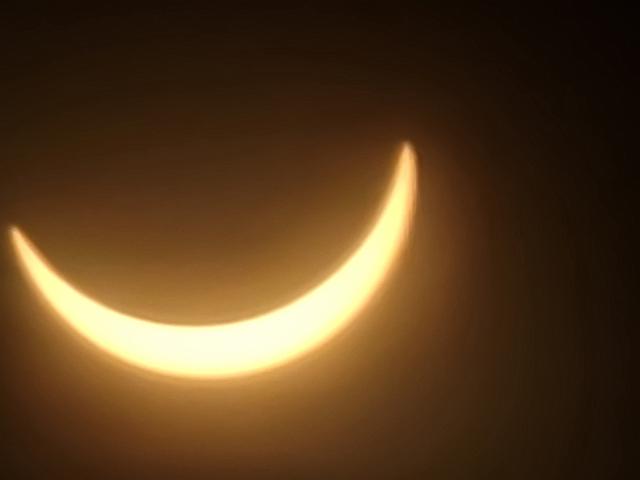 20240408_152818.jpg
