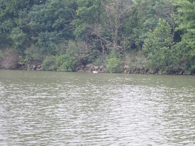 P8030106.JPG