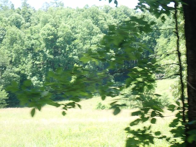P6190044.JPG