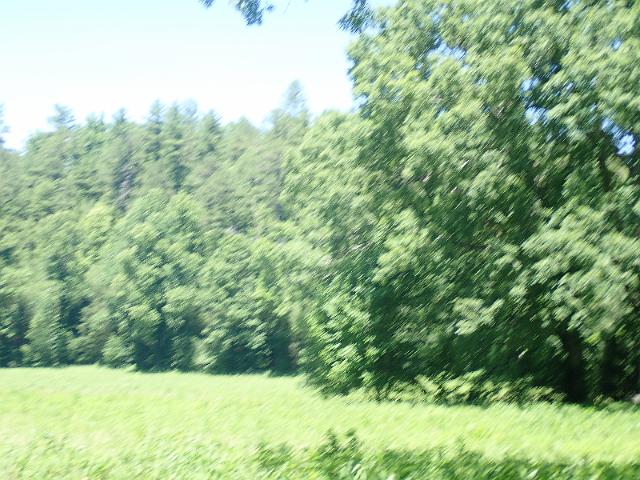 P6190288.JPG