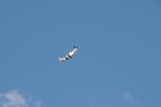 DJK_8908.JPG