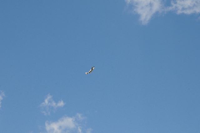 DJK_8940.JPG