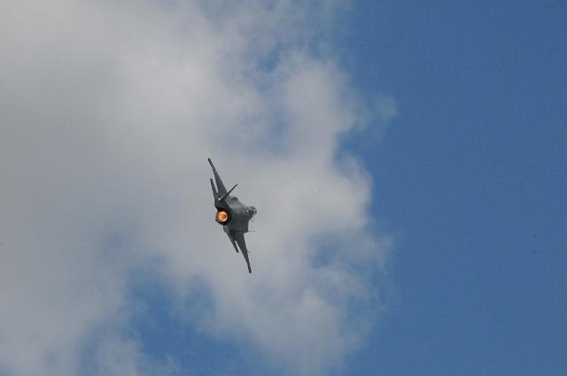 DJK_9204.JPG