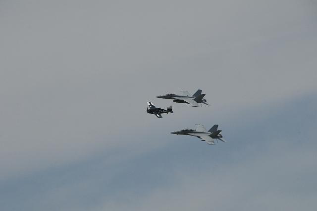 DSC_1425.JPG