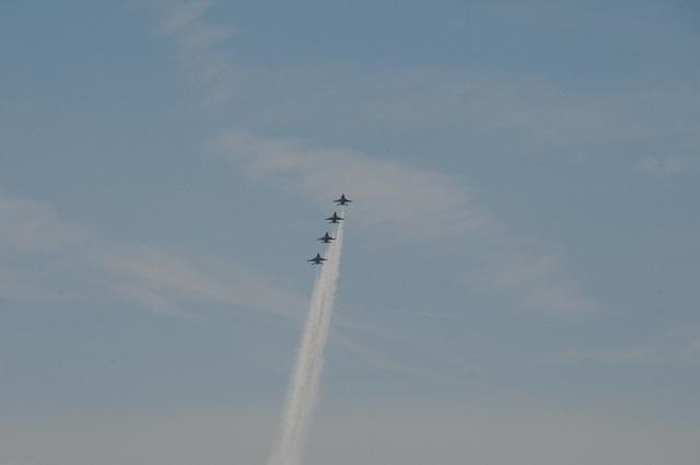 DSC_1826.JPG