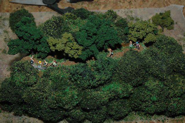 DSC_4337.JPG