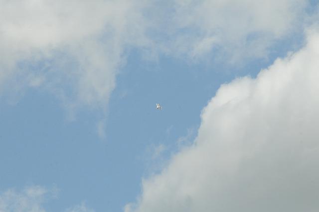 DJK_6403.JPG