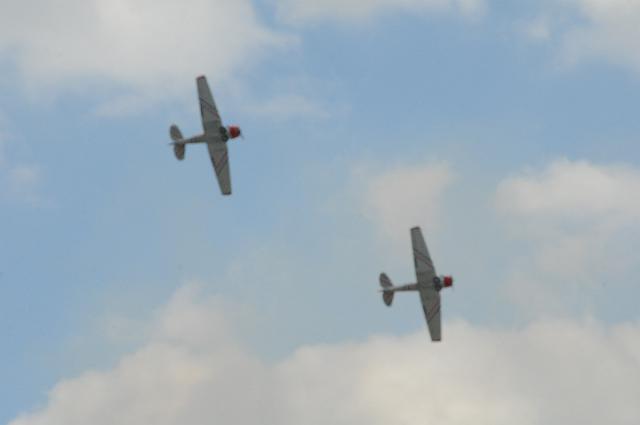 DJK_6872.JPG