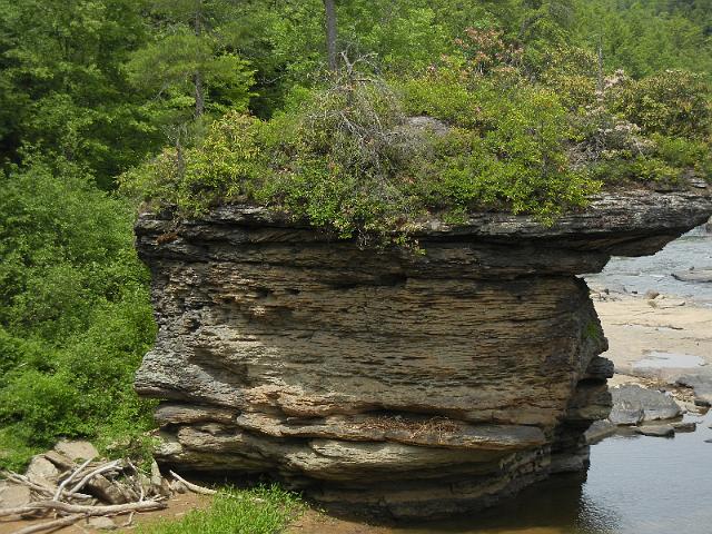 DSCN2603.JPG
