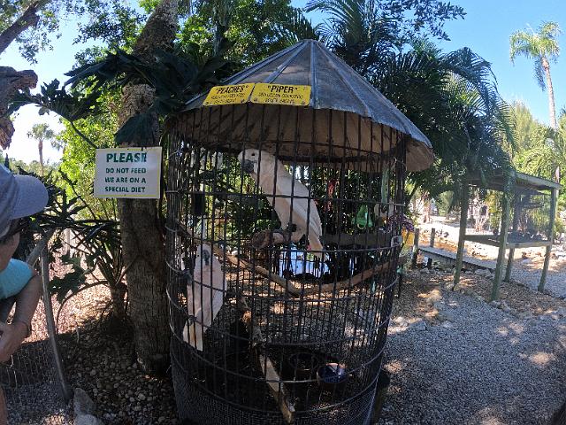 GOPR0134.JPG