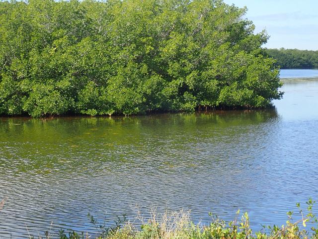 PC020196.JPG