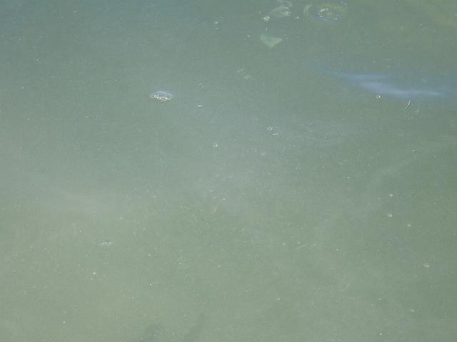 PC030277.JPG