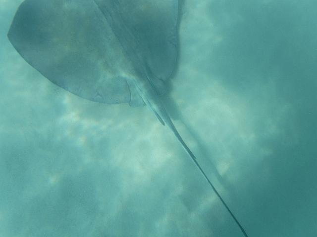 DSCF1174.JPG