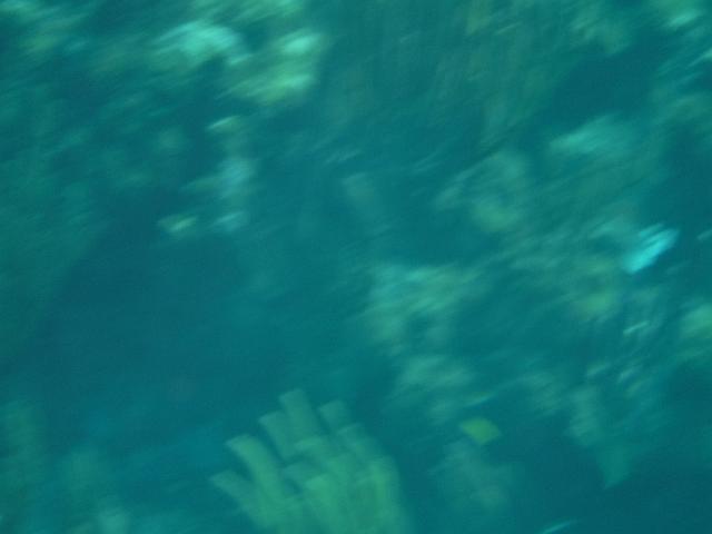 DSCF1204.JPG
