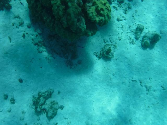 DSCF1241.JPG