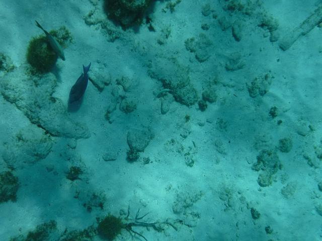 DSCF1245.JPG