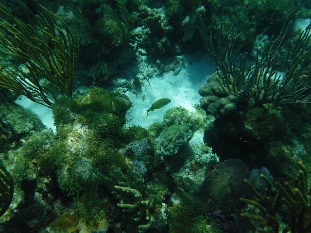 DSCF1250.JPG