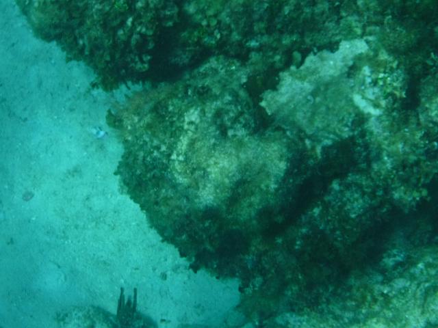 DSCF1253.JPG
