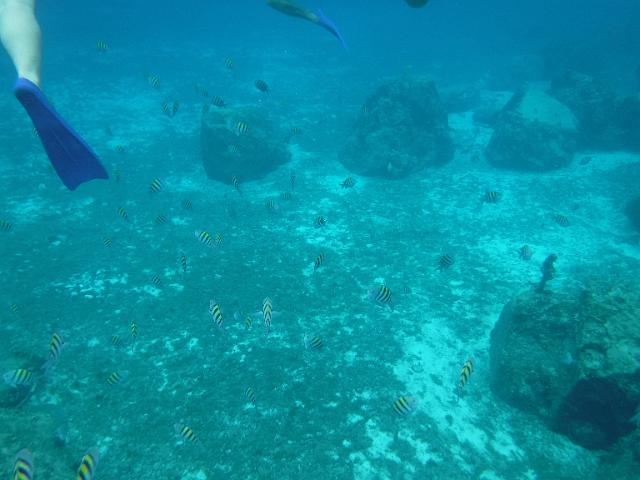 DSCF1376.JPG