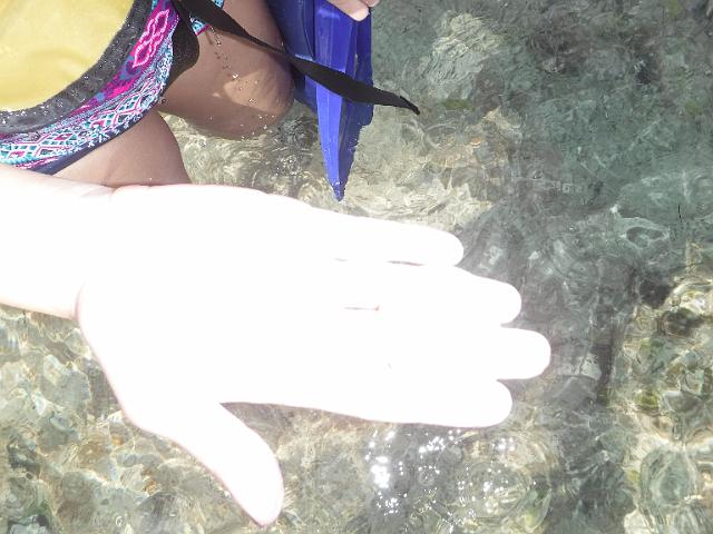 DSCF1421.JPG