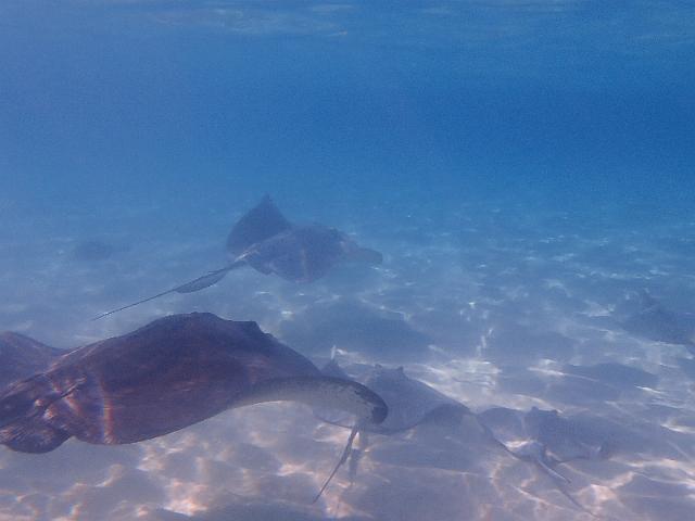 FILE00378.jpg