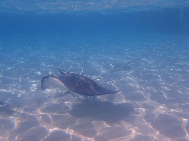 FILE00379.jpg