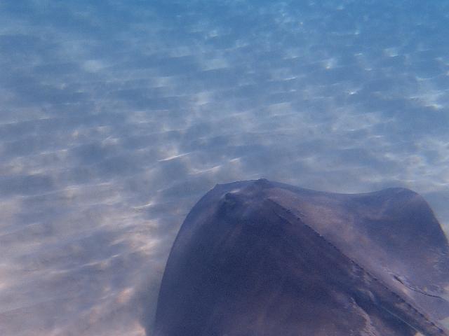FILE00383.jpg