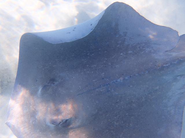 FILE00388.jpg