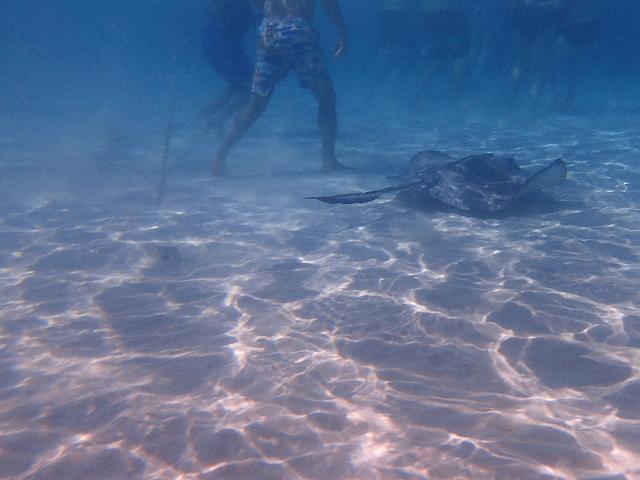 FILE00409.jpg