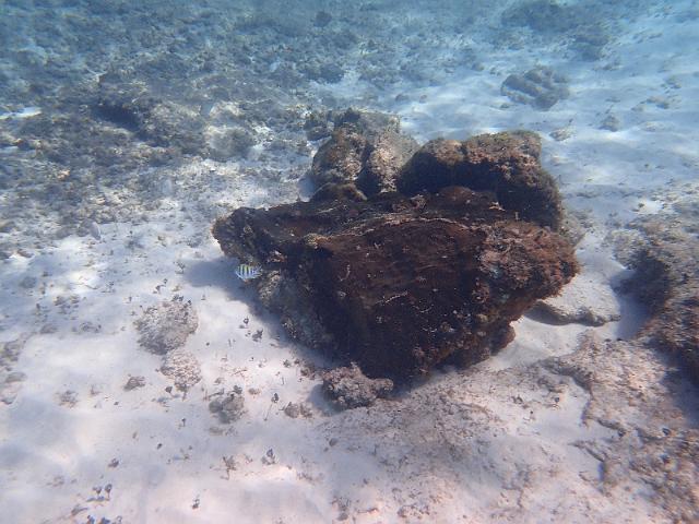 FILE00667.jpg