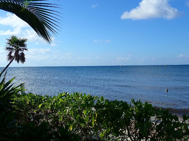 FILE00740.jpg