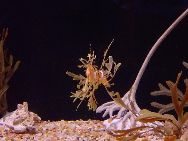 FILE01029.jpg
